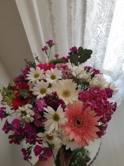 20200507_150310.jpg