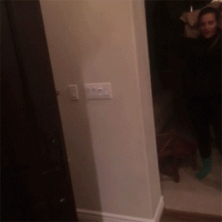 s-7083b385353b380035ffafc59669c6e449da2d07.gif