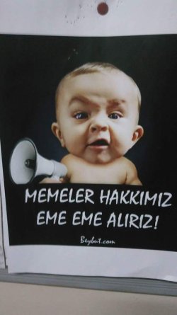 FB_IMG_1509905951394.jpg