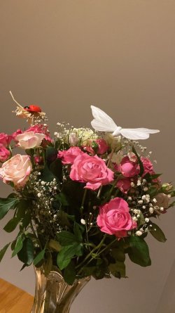 IMG-20231104-WA0014.jpg